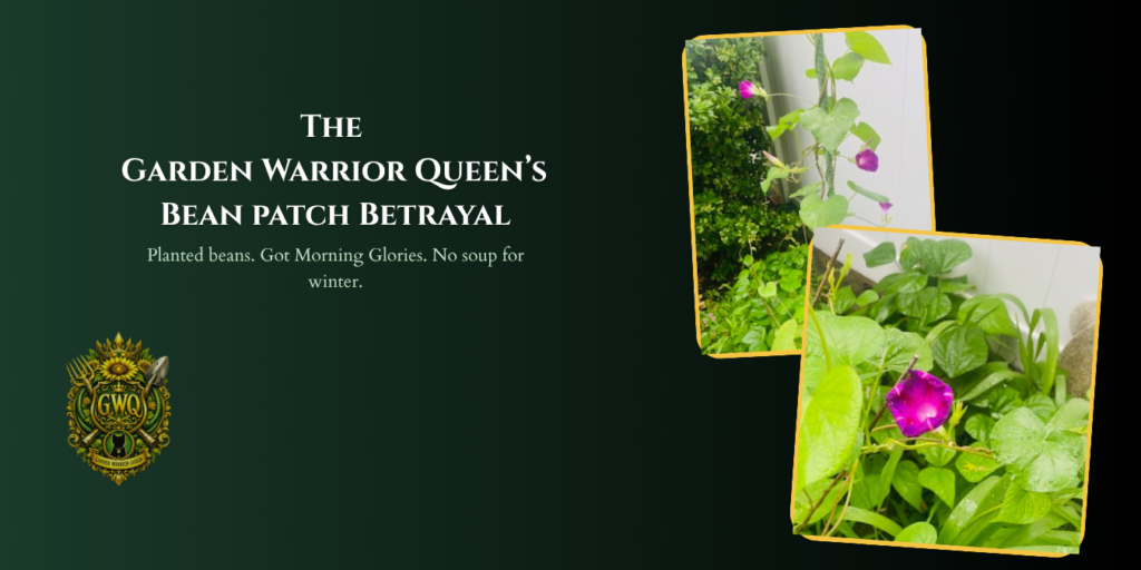 gwq bean patch betrayal blog post