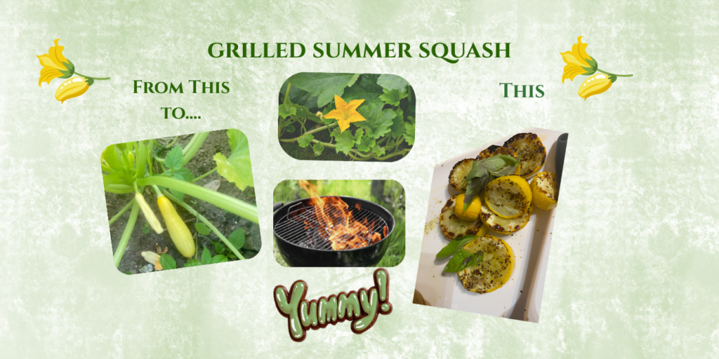 gwq squash blog
